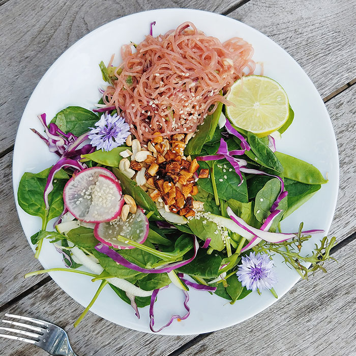 sakara prosperity pad thai with promo code