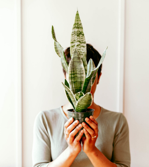 woman holding a plant