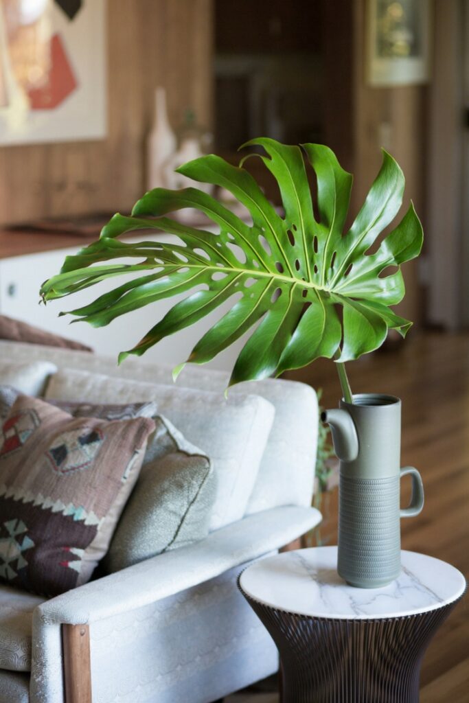 foilage and plants in vase