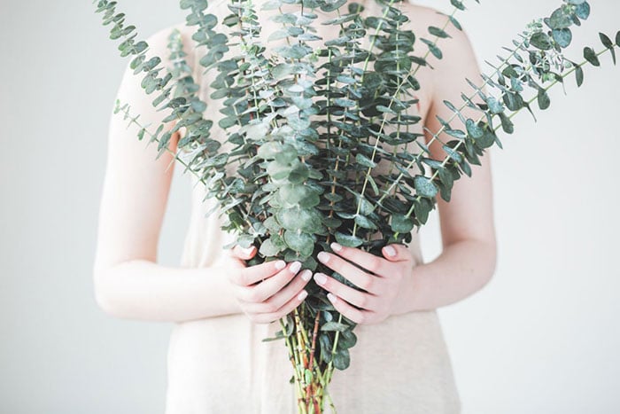 woman holding a bundle of eucalyptus