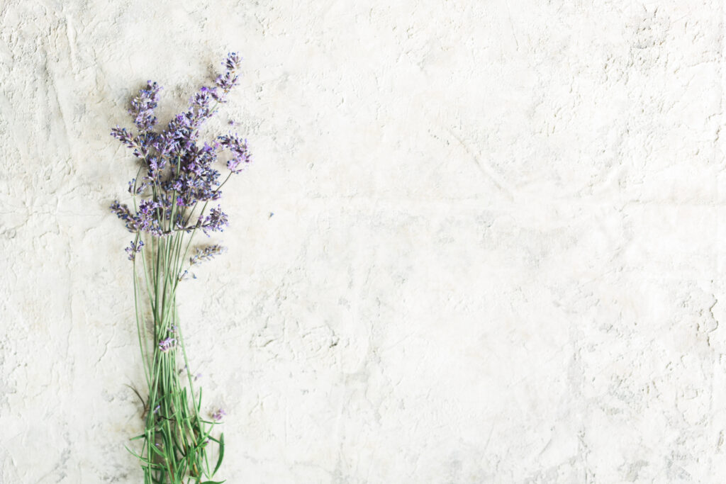 lavender florals on white background