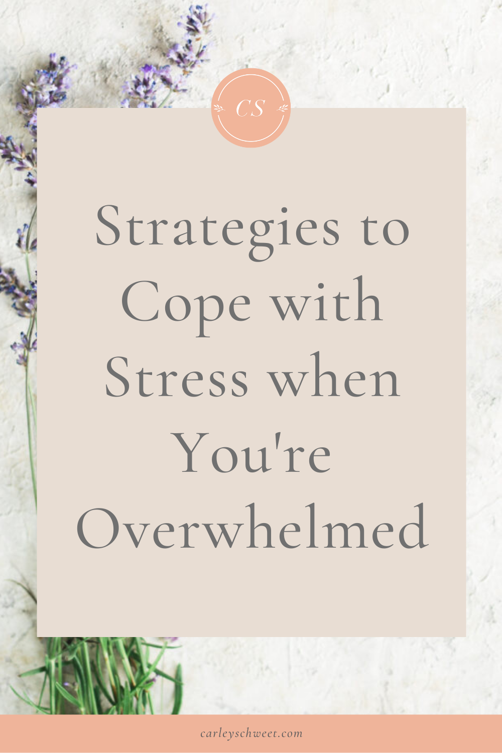 How to Take Control When You are Stressed and Overwhelmed