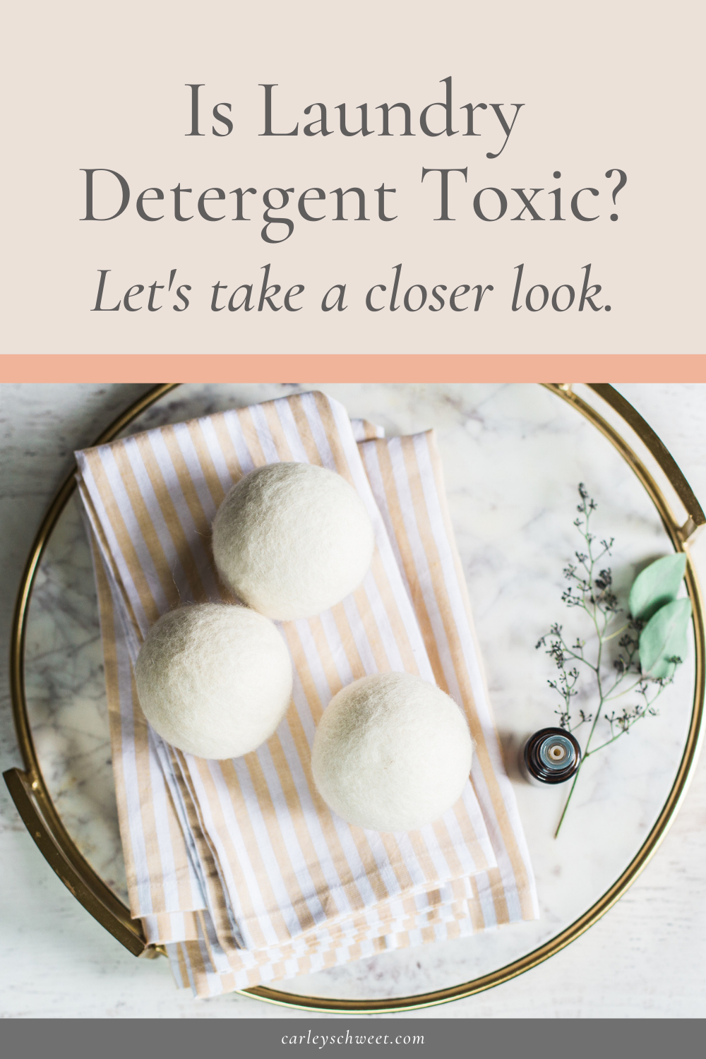 Dangerous Ingredients in Home Laundry Detergent Carley Schweet
